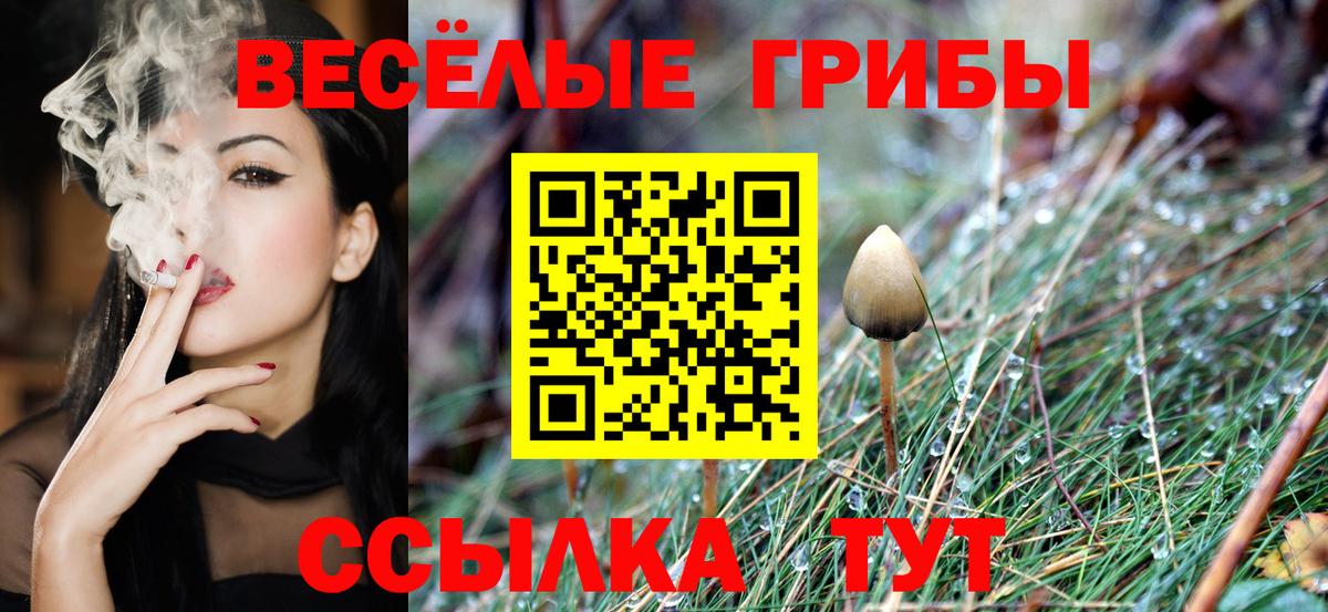 Галлюциногенные грибы мухоморы Северск