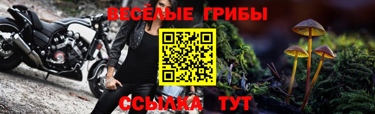 Псилоцибиновые грибы Psilocybine cubensis  Вход с VPN  купить наркоту  Северск 